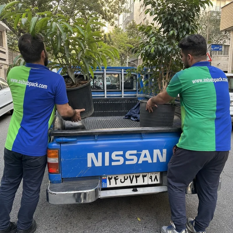 نظم‌دهی و ایمن‌سازی بار در خودرو